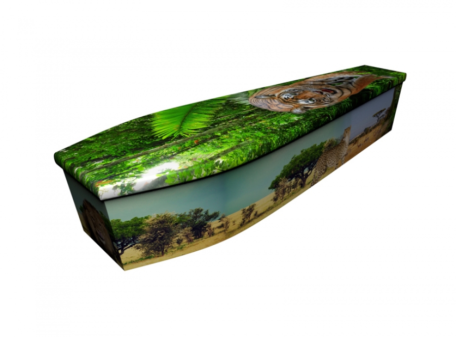 Wooden coffin - Big Cats - 4159