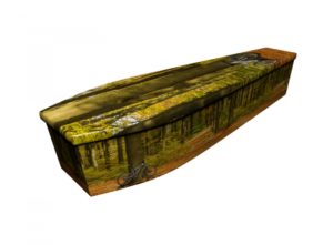 Wooden coffin - BMX - 4162