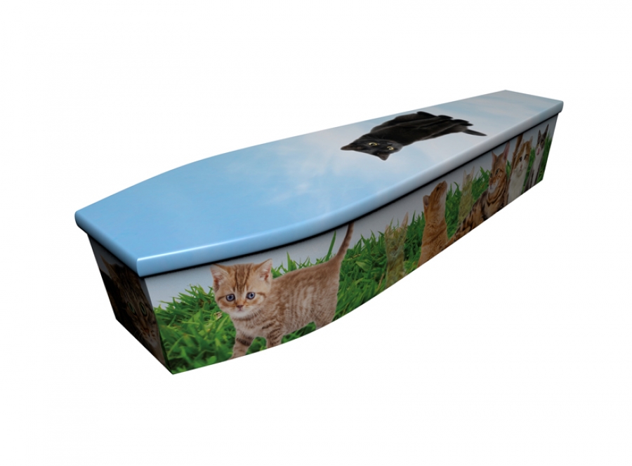Wooden coffin - Cats - 4169