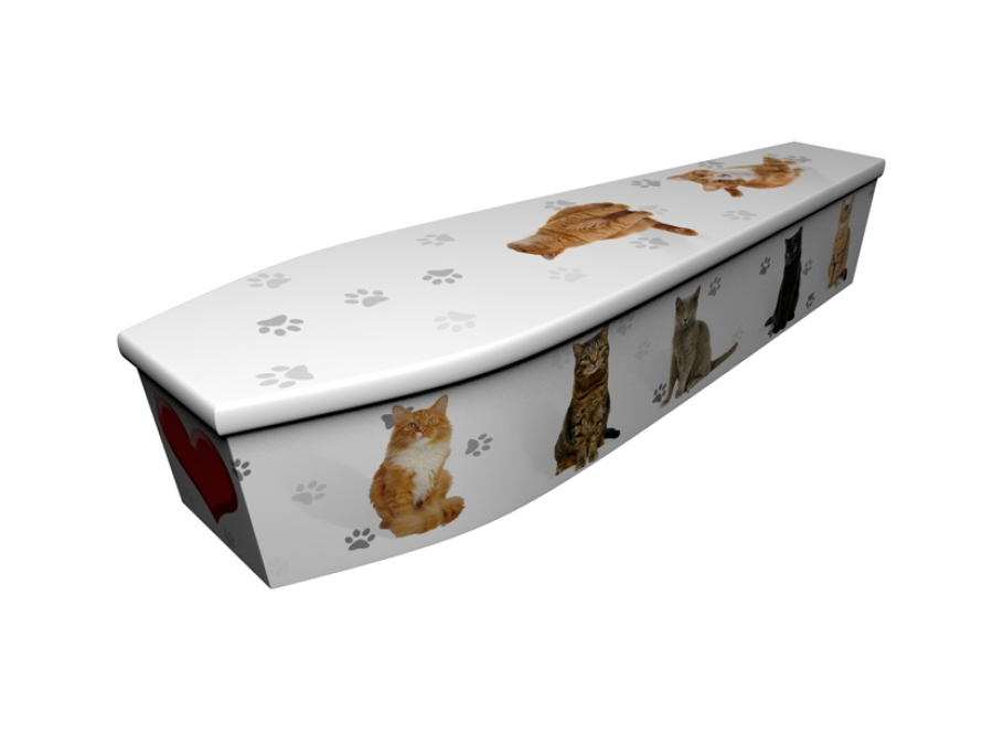 Wooden coffin - Cats with Heart - 4168