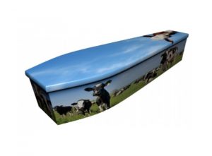 Wooden coffin - Cows - 4076