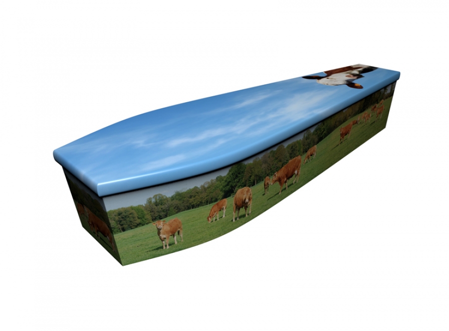 Wooden coffin - Cows - 4174