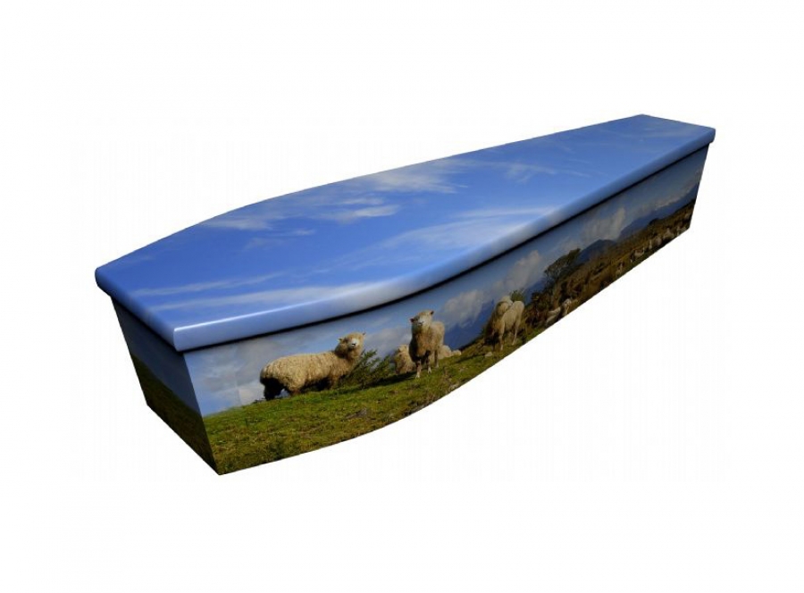 Wooden coffin - Sheep - 4016