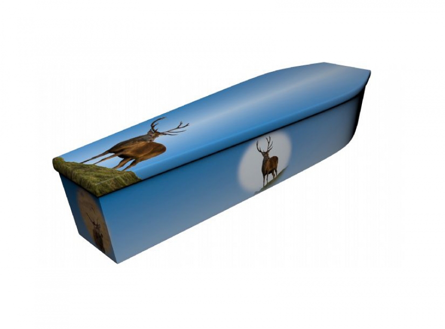 Wooden coffin - Stag - 4122