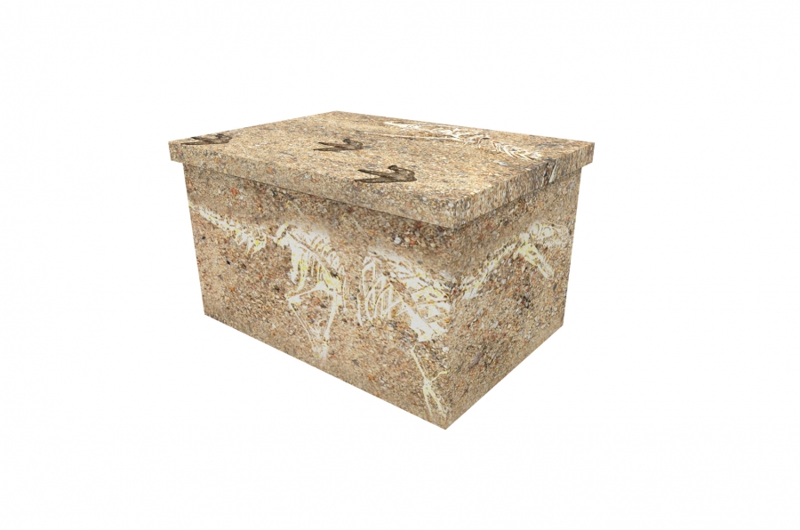 Cardboard Ash Casket - Fossils - 3881a
