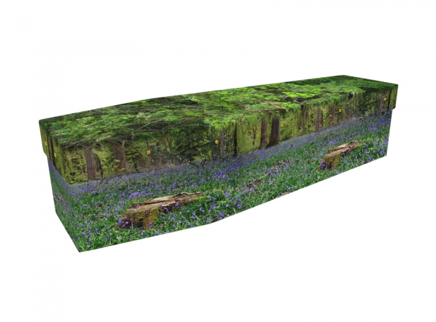 Cardboard coffin - Bluebell Forest - 3570