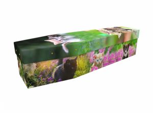 Cardboard coffin - Cute Kittens - 3519