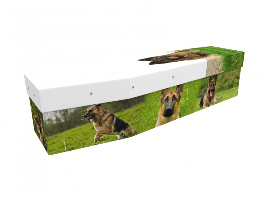 Cardboard coffin - German Shepherd - 3548