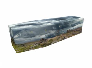 Cardboard coffin - Heath Dartmoor - 3527