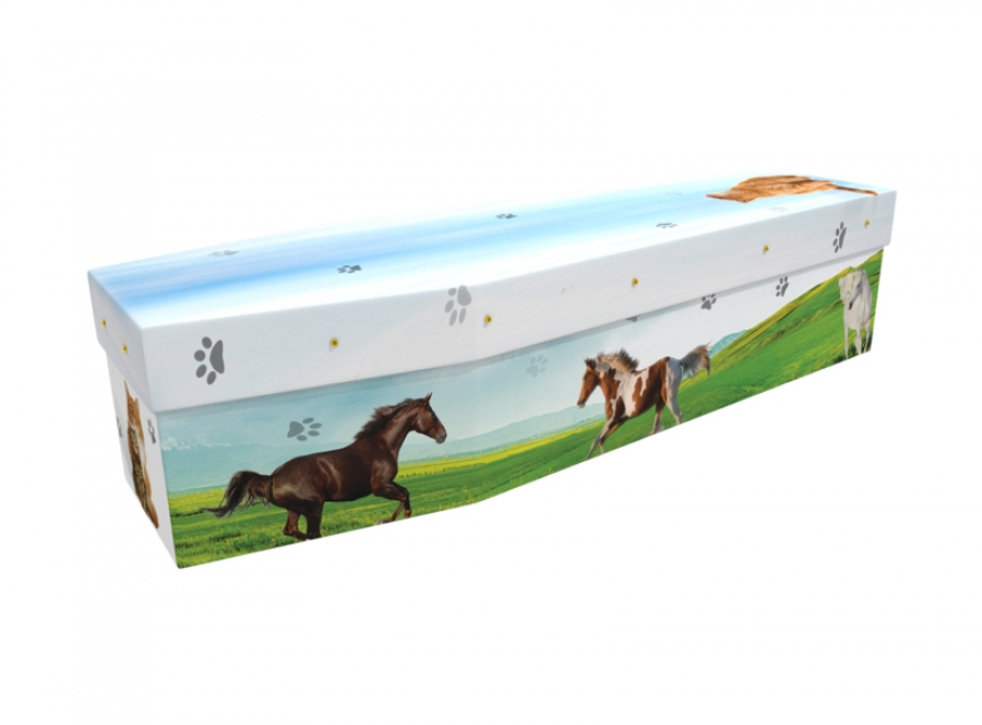 Cardboard coffin - Horses & Cats - 3574