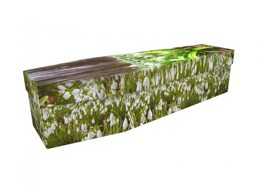 Cardboard coffin - Snowdrop Forest - 3530