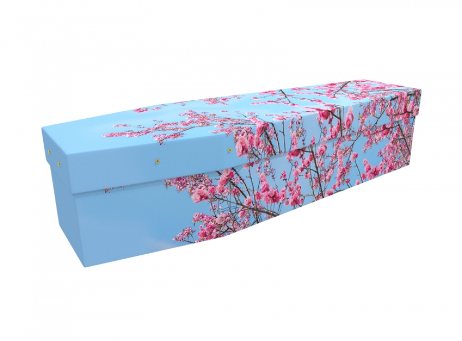 Cardboard coffin - Spring Blossom - 3503