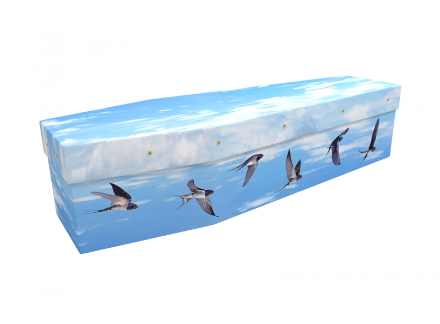Cardboard coffin - Swallows - 3542