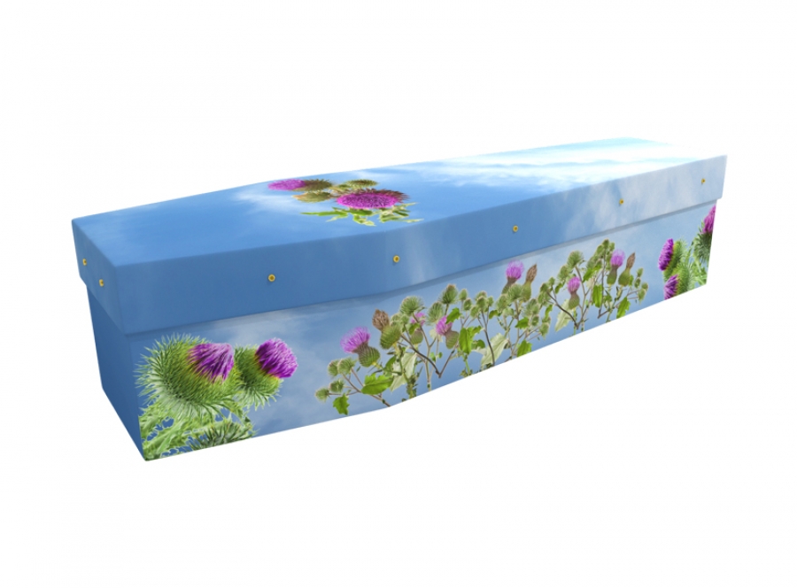 Cardboard coffin - Thistles - 3505