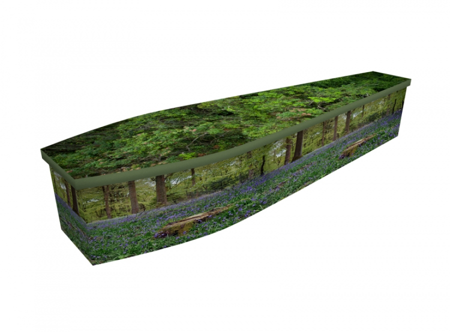 Wooden coffin - Bluebell Forest - 4292