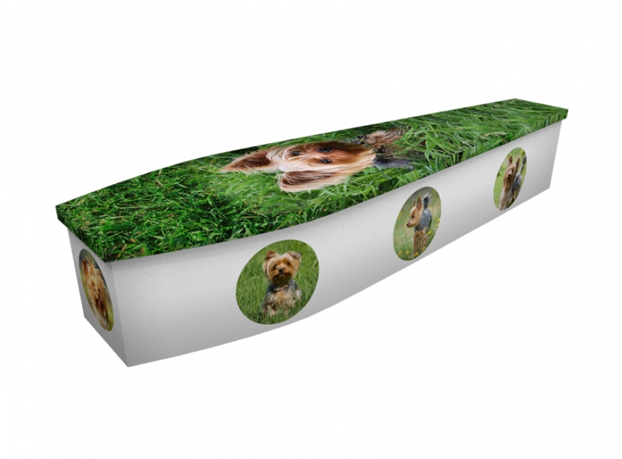 Wooden coffin - Yorkshire Terrier - 4298