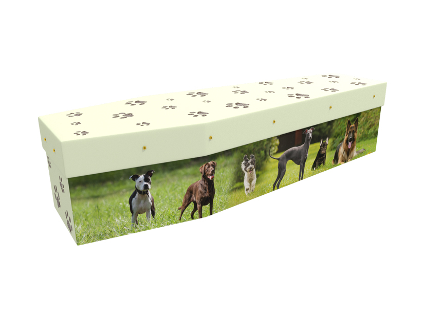 Dogs cardboard picture coffin