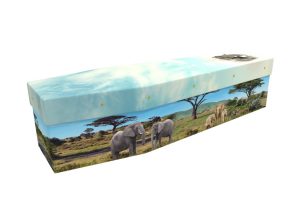 African elephants cardboard picture coffin