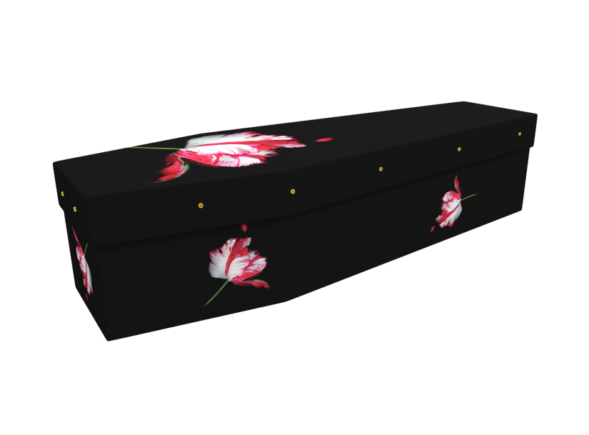 Twilight cardboard picture coffin