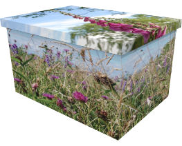 Ash Casket Meadow