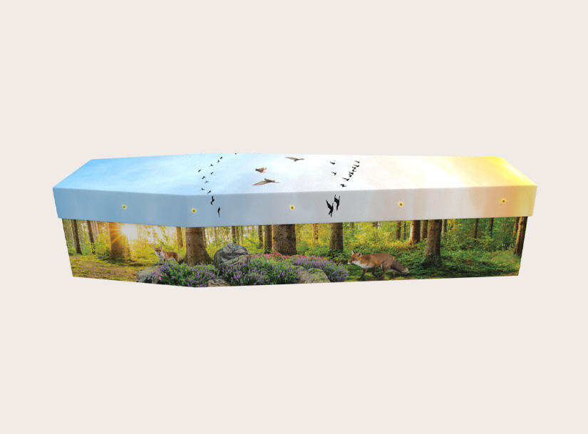 3221_Foxes and Birds Scene