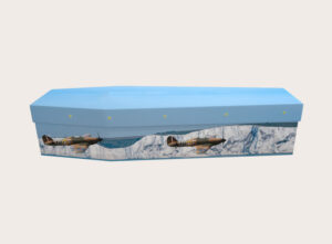 Cardboard Coffin - Spitfire Plane in White Cliffs of Dover - 3249