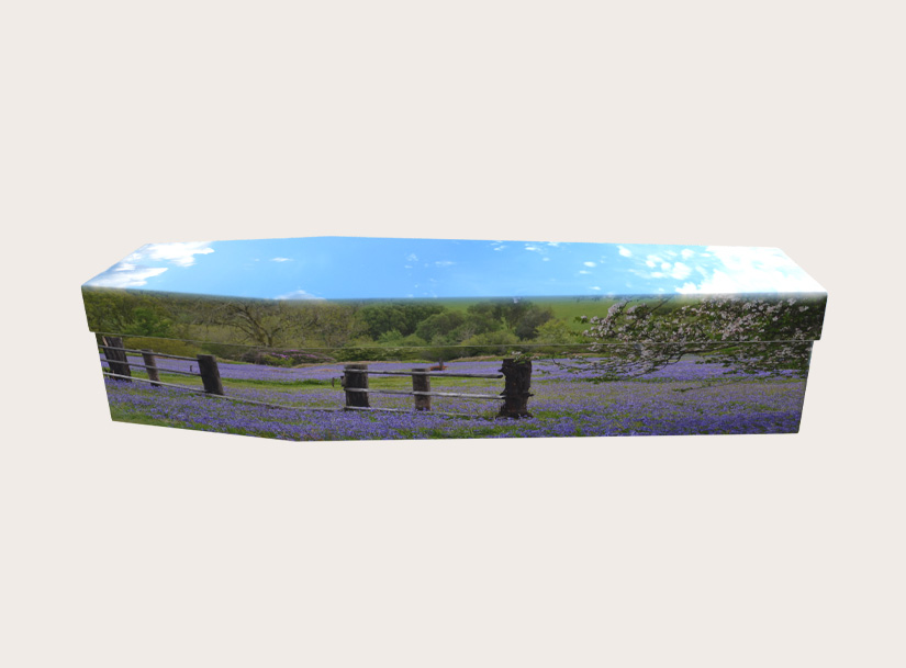 3285_Bluebells with Fence