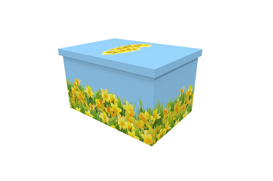 3511a_Daffodil Fields