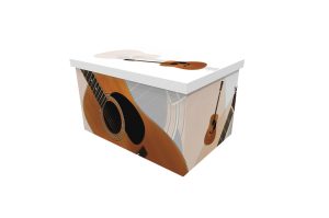 3622a_Acoustic Guitar