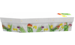 Cardboard Coffin 3170 - Tulips and Daffodils, this design introduces into our new Spring of 2024