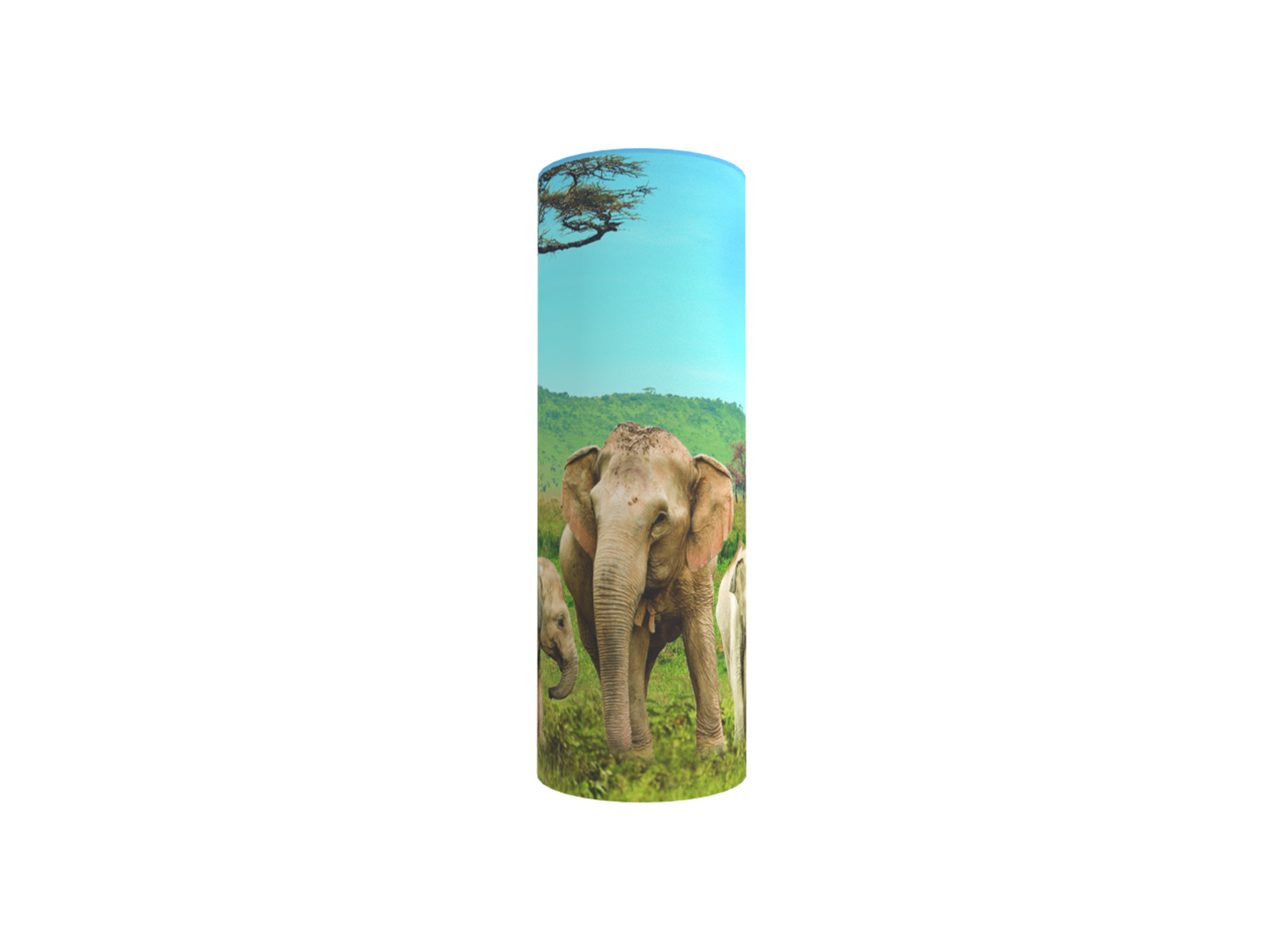 3577s African Elephants