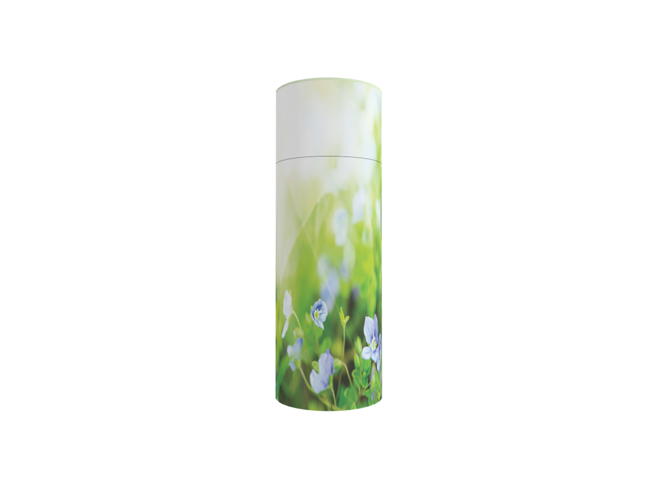 3591s Forget Me Not