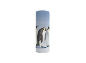 3653s Penguins