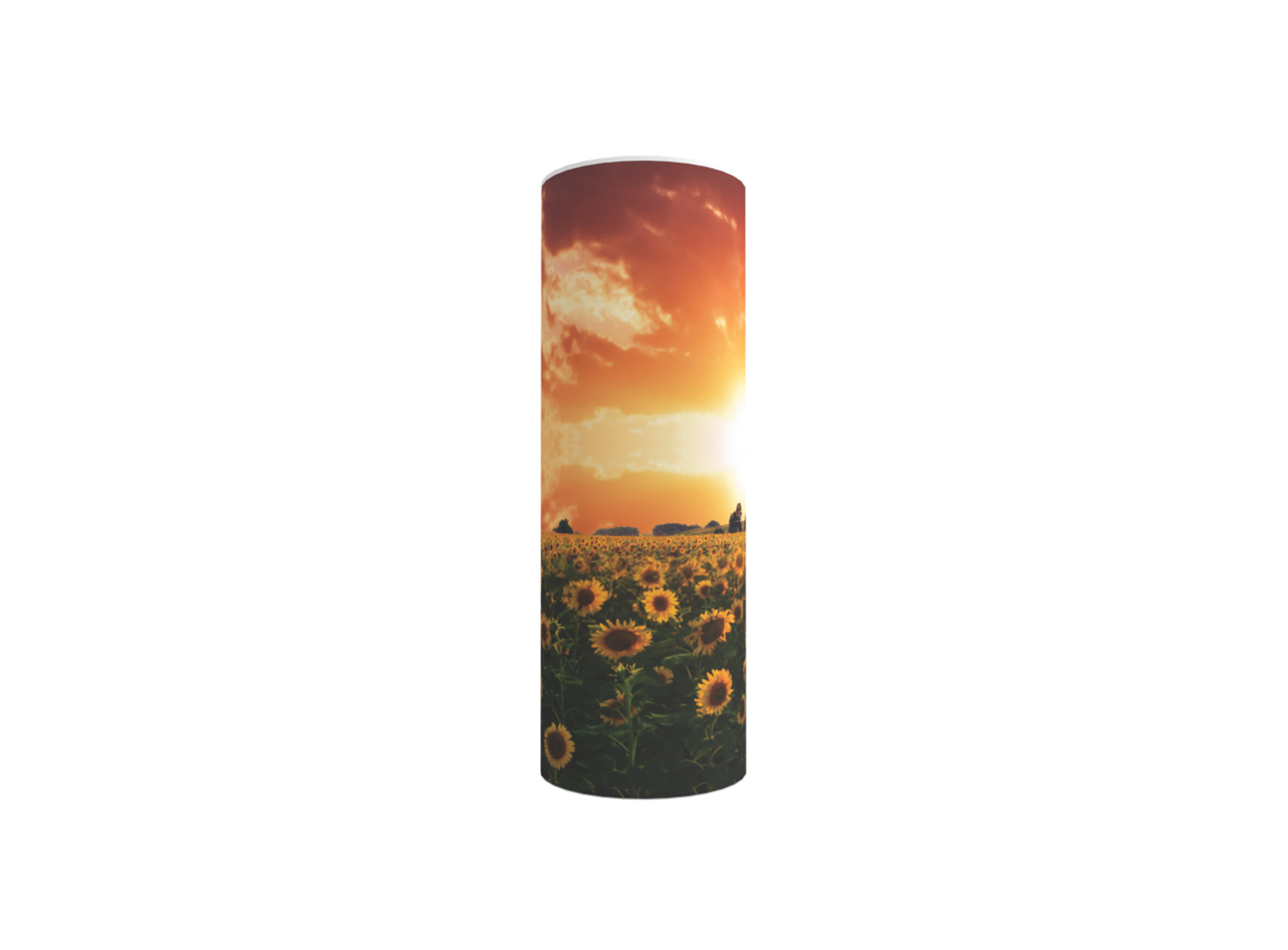 3851 Sunflower Sunset