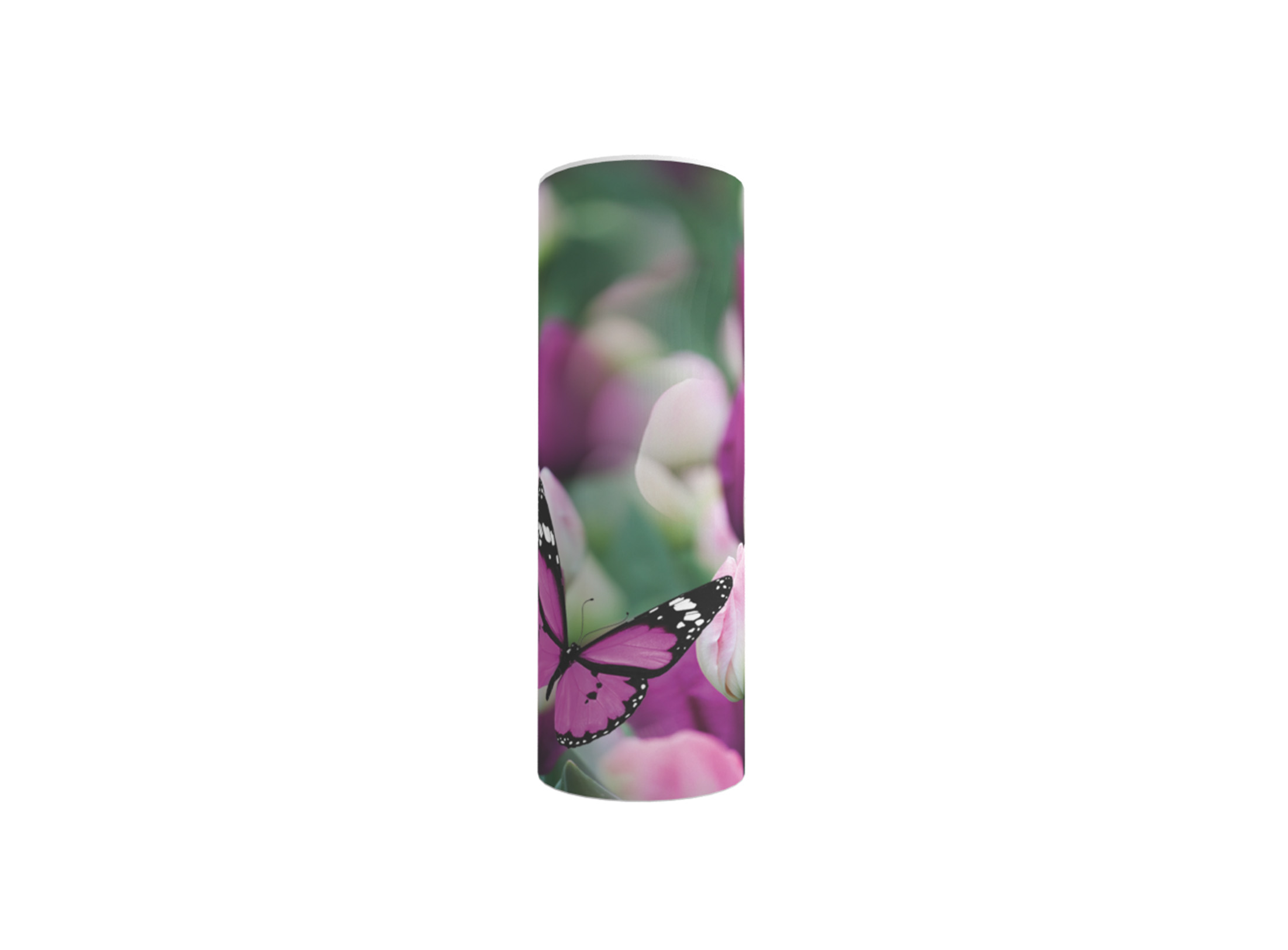 3896s Butterfly 1