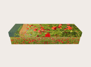 3140_Poppy Meadow