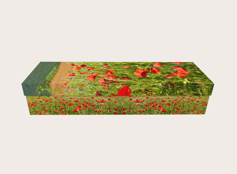 3140_Poppy Meadow