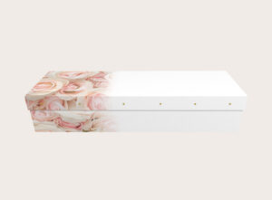 3552_Blushing Roses